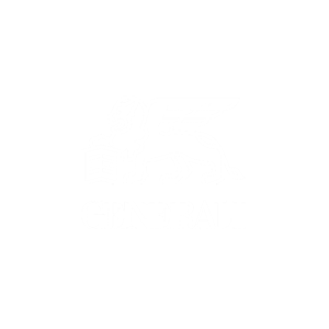 Generali Seguros